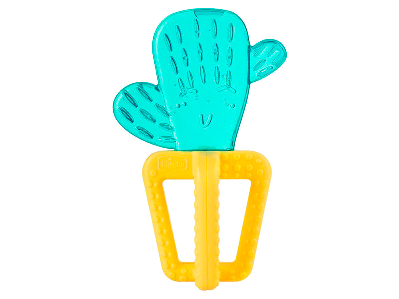 CHICCO gingiera frigorifica cactus 4M+ 2814030
