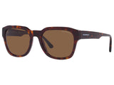 Ochelari de soare Emporio Armani EA4175-587973-55, din Acetat, p/u barbati
