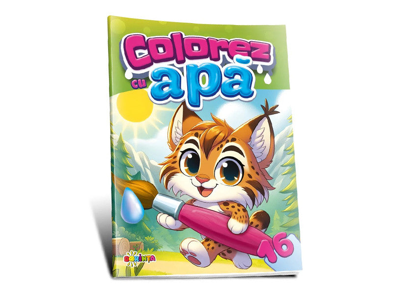 Carte colorez cu apa 16
