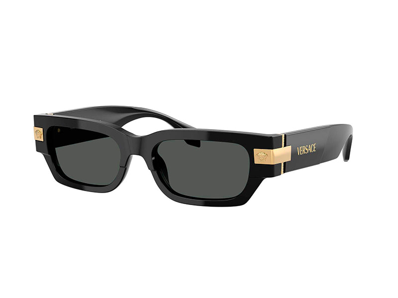 Ochelari de soare Versace VE4465-GB1/87-53, din Acetat, p/u barbati