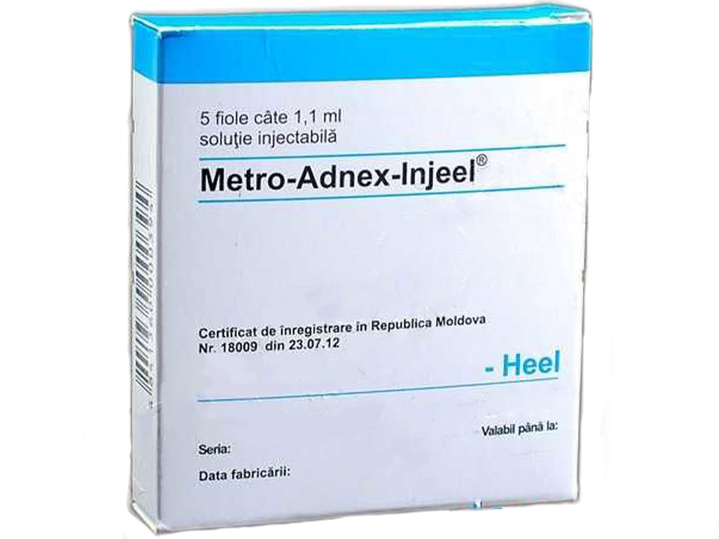 -Heel Metro-Adnex-Injeel 1.1ml