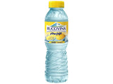 Bucovina Fructata Apa aromatizata Lamaie 0.5l