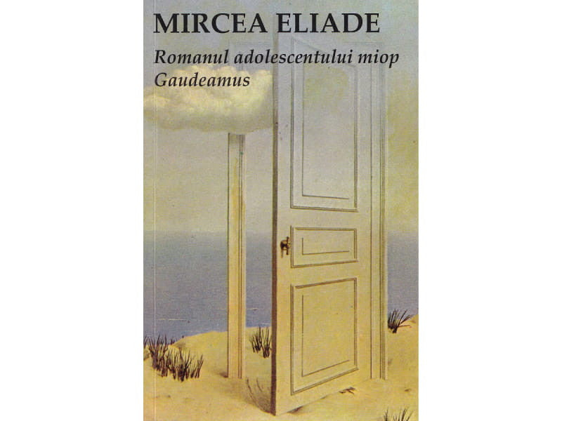 Carte Romanul adolescentului miop
