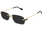 Ochelari de soare Cartier Sun Collection CT0498S-001/55, 2026, din Acetat, p/u femei
