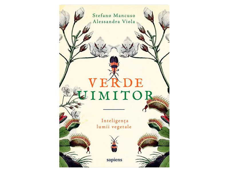 Carte MANCUSO STEFANO  SI  VIOLA ALESSANDRA / VERDE UIMITOR