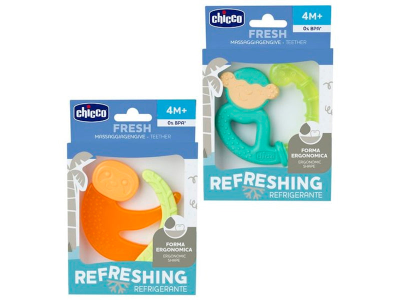 CHICCO gingiera frigorifica 4M+ MIX 2813030