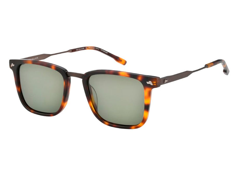 Ochelari de soare TED WALKER TW7019C C3, 2024, din Acetat, p/u barbati