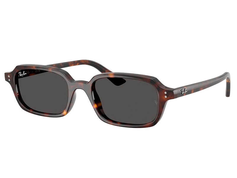 Rama ochelari de soare Ray Ban