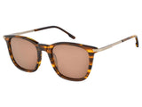 Ochelari de soare TED WALKER TW7017C C2, 2025, din Acetat, unisex