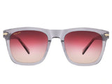 Ochelari de soare Polar Gold 3018 col. 27, 2025, din Acetat, p/u barbati