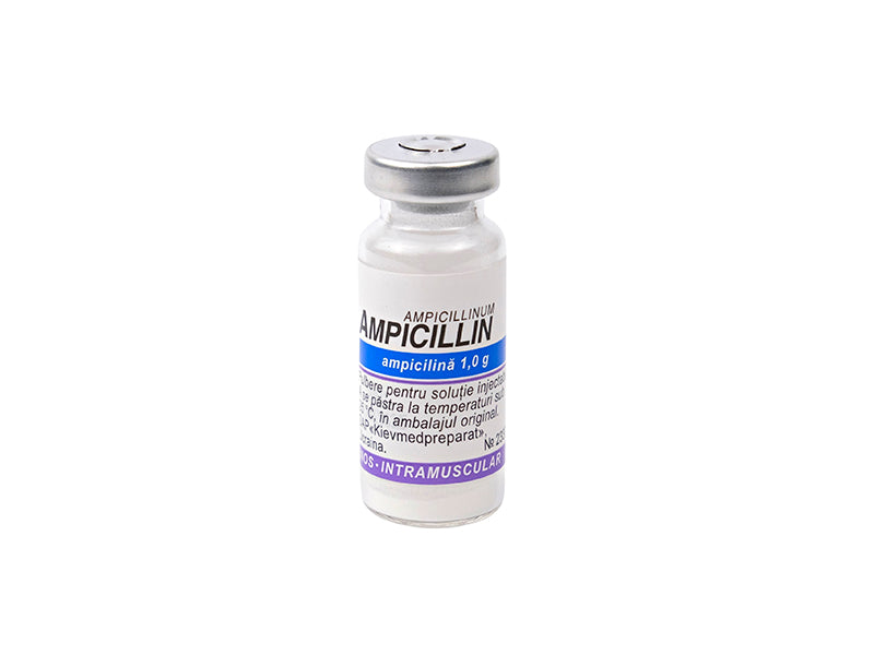 Ampicillin 1g