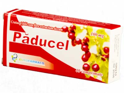 Paducel 100mg comp.