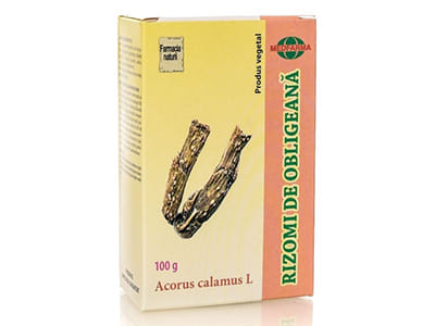 Obligeana rizomi 40g