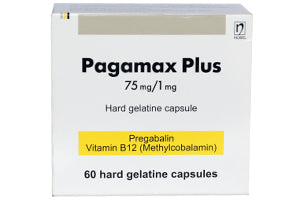 Pagamax Plus