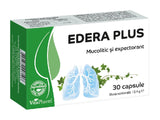 Edera plus caps.