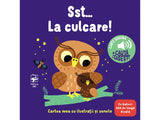 Cartea mea cu ilustratii si sunete. Sst… La culcare!