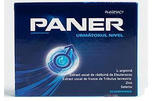 Paner 