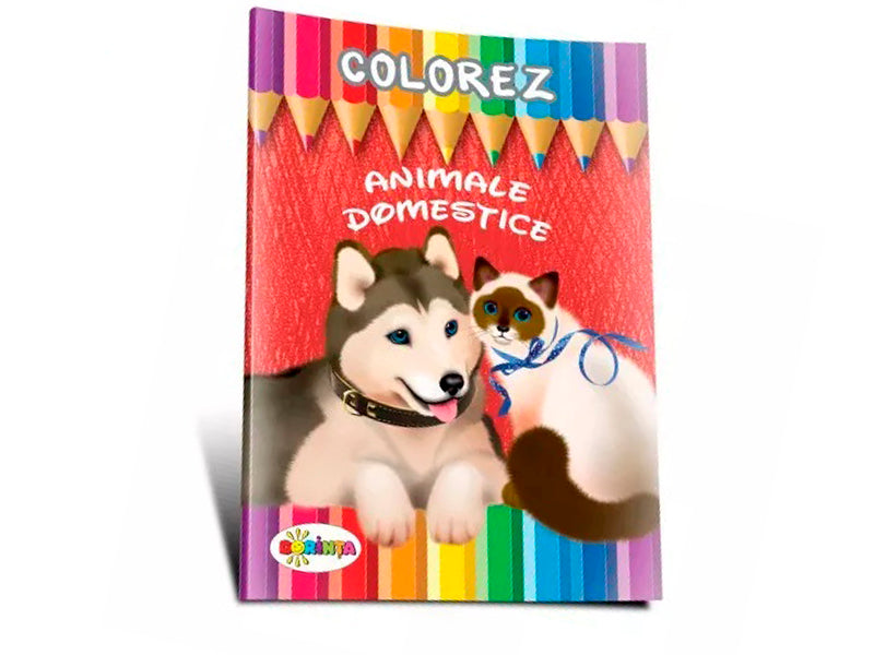 Книжка-раскраска домашних животных